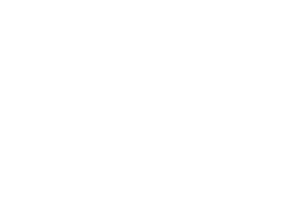 intequesolutions